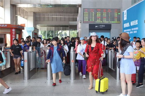 ?？谖鍌€(gè)臨時(shí)旅游服務(wù)臺(tái)高效運(yùn)作，累計(jì)服務(wù)近7萬人次彰顯旅游服務(wù)新高度